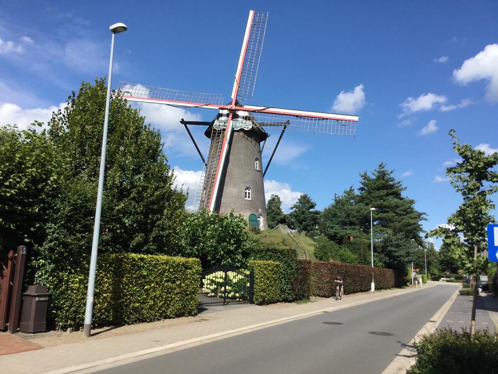 B&B De Grote Plaats Hoogstraten Εξωτερικό φωτογραφία